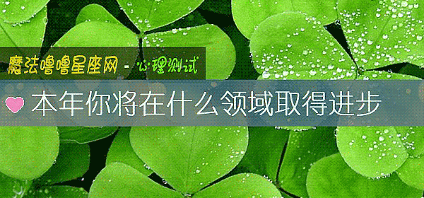 本年你将在什么领域取得进步