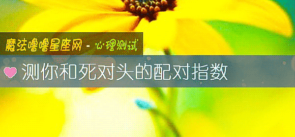 测你和死对头的配对指数