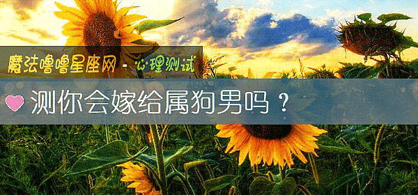 测你会嫁给属狗男吗？