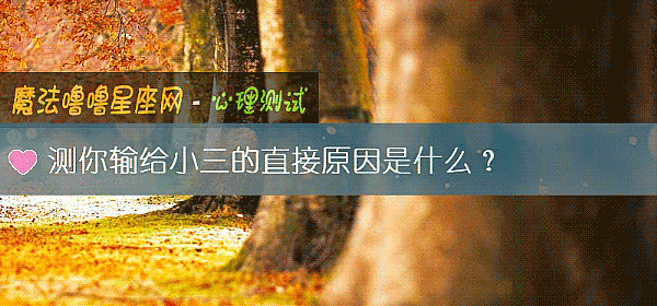 测你输给小三的直接原因是什么？