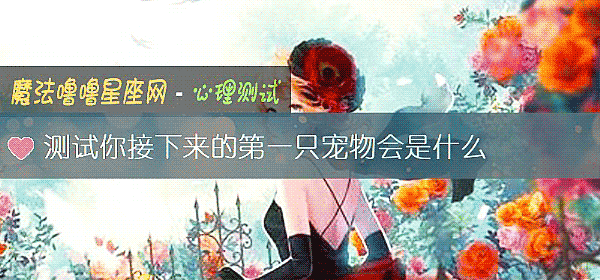 测试你接下来的第一只宠物会是什么