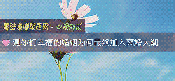 测你们幸福的婚姻为何最终加入离婚大潮