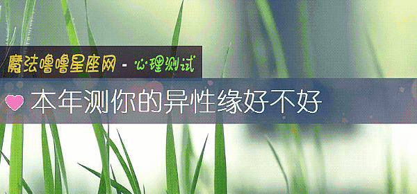 本年测你的异性缘好不好