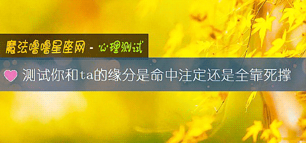 测试你和ta的缘分是命中注定还是全靠死撑