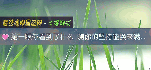 第一眼你看到了什么 测你的坚持能换来满意的结果吗?
