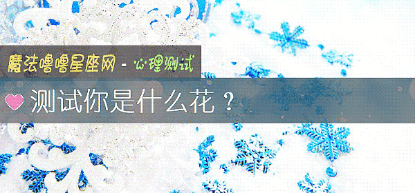 测试你是什么花？