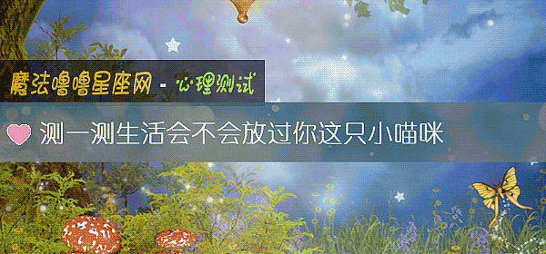 测一测生活会不会放过你这只小喵咪