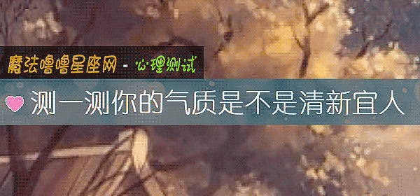 测一测你的气质是不是清新宜人