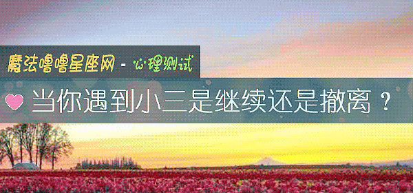 当你遇到小三是继续还是撤离?