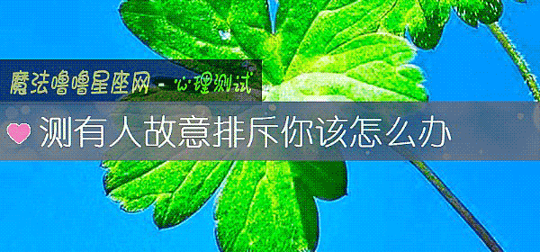 测有人故意排斥你该怎么办