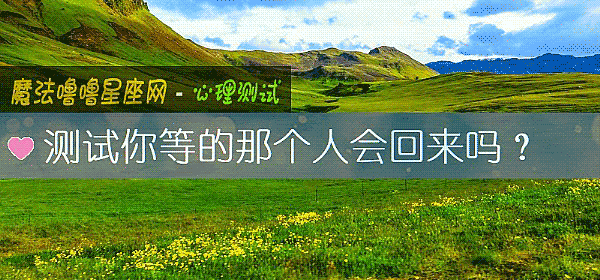 测试你等的那个人会回来吗？