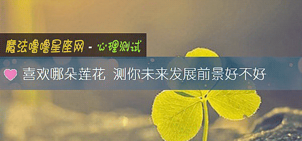 喜欢哪朵莲花 测你未来发展前景好不好