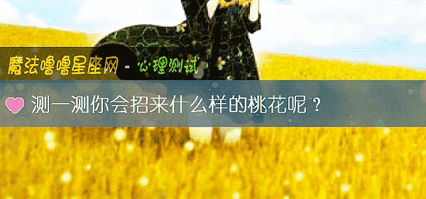 测一测你会招来什么样的桃花呢？