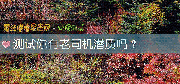 测试你有老司机潜质吗？