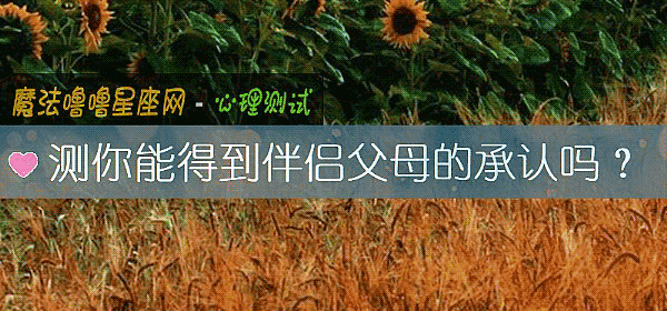 测你能得到伴侣父母的承认吗？