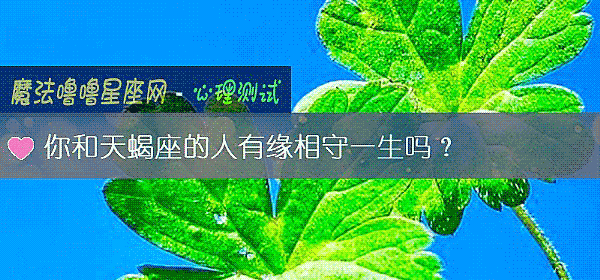 你和天蝎座的人有缘相守一生吗？