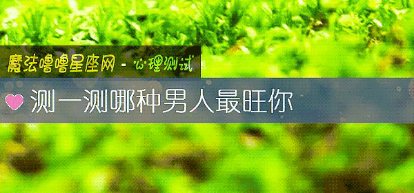 测一测哪种男人最旺你