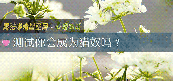 测试你会成为猫奴吗？