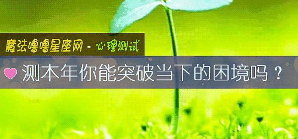 测本年你能突破当下的困境吗?
