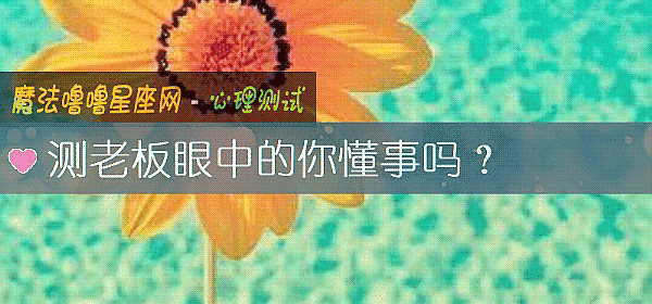 测老板眼中的你懂事吗?
