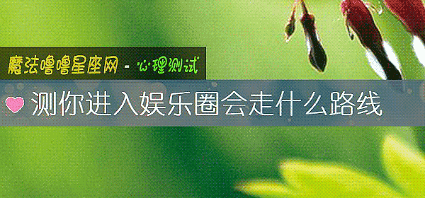 测你进入娱乐圈会走什么路线