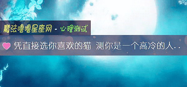 凭直接选你喜欢的猫 测你是一个高冷的人吗?