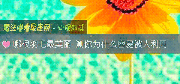 哪根羽毛最美丽 测你为什么容易被人利用