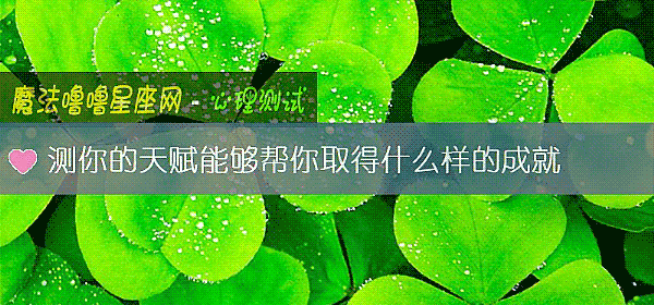 测你的天赋能够帮你取得什么样的成就