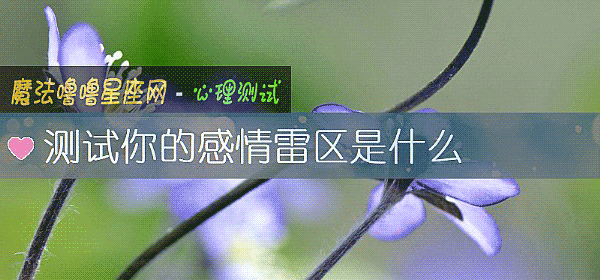 测试你的感情雷区是什么