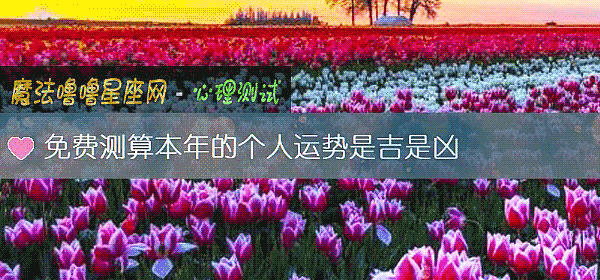 免费测算本年的个人运势是吉是凶