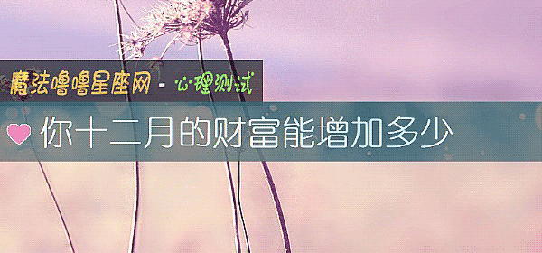 你十二月的财富能增加多少
