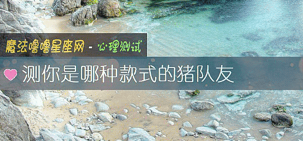 测你是哪种款式的猪队友