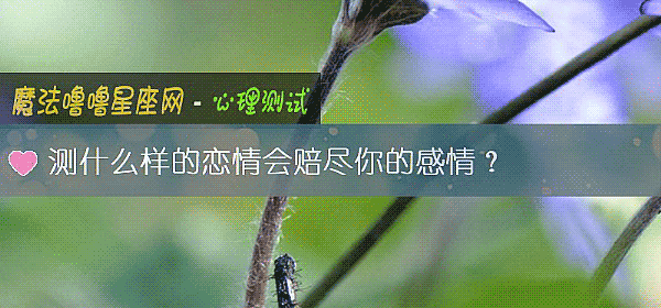 测什么样的恋情会赔尽你的感情?