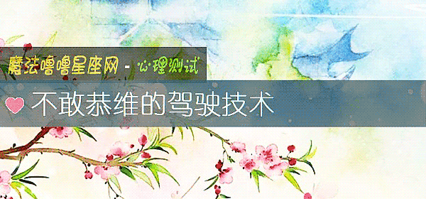 不敢恭维的驾驶技术