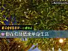 《你在何处结束单身生活》测试