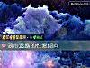 《领带透露的性爱倾向》测试
