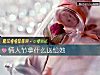 《情人节拿什么送给她》测试