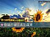 《你能否留住此生真爱》测试