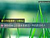 《测你的命运会因未来的<i>另一半</i>而改变吗？》测试