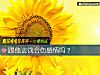 《跟他谈钱会伤感情吗？》测试
