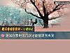 《测试你要<i>相亲</i>几次才能够遇到真爱》测试