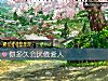 《你多久会厌倦爱人》测试
