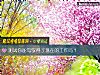 《测试你能驾驭得了现在的<i>工作</i>吗？》测试