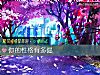 《你的性格有多倔》测试