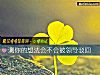 《测你的想法会不会被领导驳回》测试