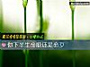 《你下半生命顺还是命歹》测试