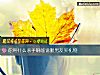 《你用什么杀手锏能说服<i>男友</i>买礼物》测试