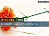 《测试跟你求婚时对方心里<i>有没有</i>你》测试