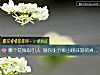 《哪个花瓶吸引人 测你能分辨出暧昧期的<i>真心</i>假意吗？》测试