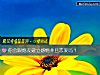 《你会跟炮友建立<i>感情</i>并且恋爱吗？》测试